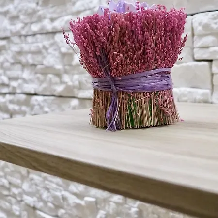 Antica Hotel Múggia